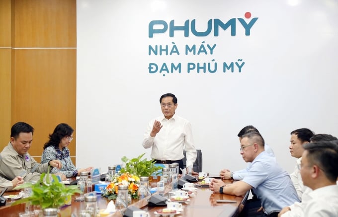 Phó thủ tướng Bùi Thanh Sơn thăm nhà máy Đạm Phú Mỹ