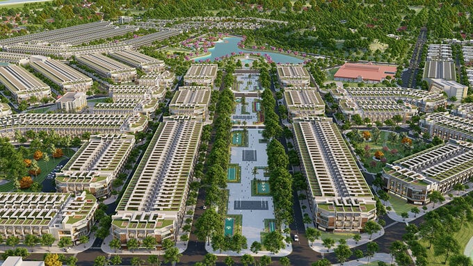 Đối tác của NBB là Công ty Cổ phần Đầu tư Pearl City nợ thuế hơn 8,8 tỷ đồng