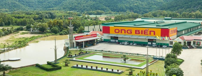 Công ty TNHH Sản xuất Thương mại Đại Nam nợ hơn 11,7 tỷ đồng