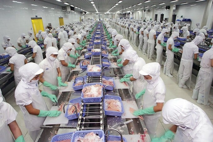 CTCP Vĩnh Hoàn bị truy thu, phạt và chậm nộp thuế tổng cộng hơn 8 tỷ đồng do vi phạm trong các năm 2022-2024.
