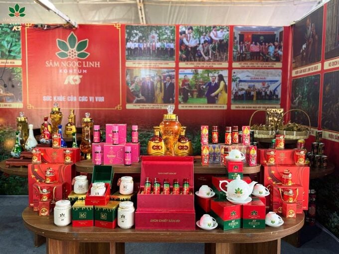 Công ty Cổ phần Sâm Ngọc Linh Kon Tum nợ thuế gần 5 tỷ đồng