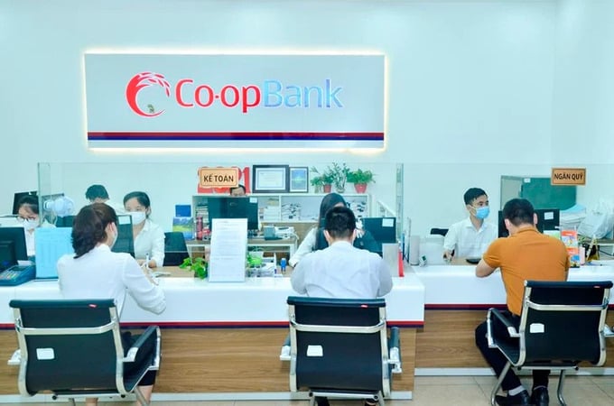 Co-opBank Thanh Hóa còn một số tồn tại, hạn chế về thẩm định, xét duyệt cấp tín dụng.