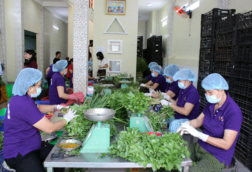 Nghịch lý rau sạch VietGAP không có đầu ra, dân vẫn phải ăn 'bẩn'