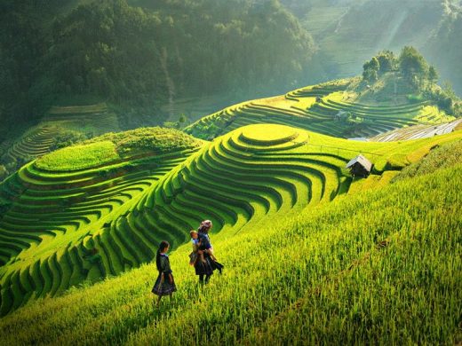 Sơn La duyệt quy hoạch khu bảo tồn sinh thái nông nghiệp hơn 1.500 ha ở Mộc Châu