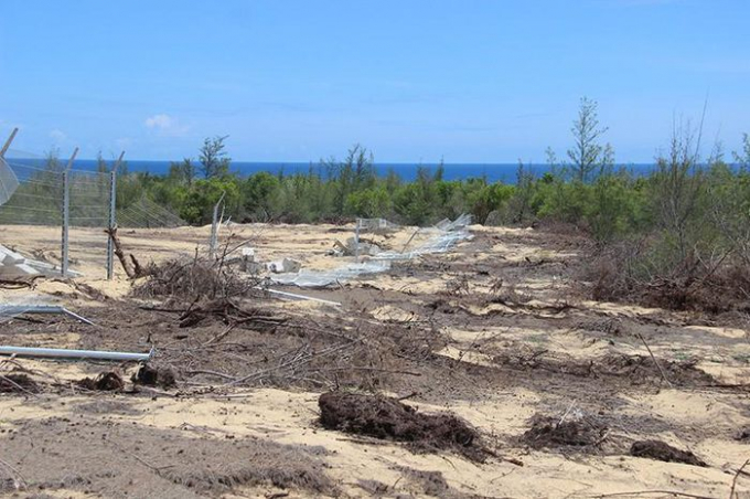 hơn 5,2ha rừng phòng hộ ven biển bị phá trắng để làm dự án nhà máy điện mặt trời
