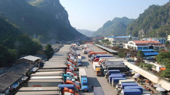 Lạng Sơn tạm dừng tiếp nhận phương tiện chở hoa quả tươi xuất khẩu.