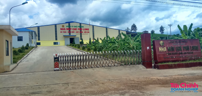 Công ty Chè Phú Đa - Nhà máy Chè Phú Long (tại huyện Tân Sơn - Phú Thọ)