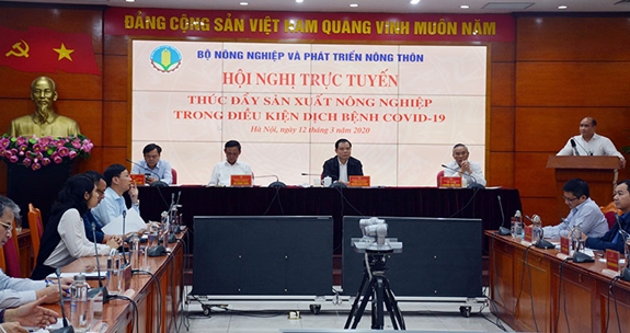Toàn cảnh hội nghị trực tuyến tại đầu cầu Hà Nội chiều ngày 12/3.