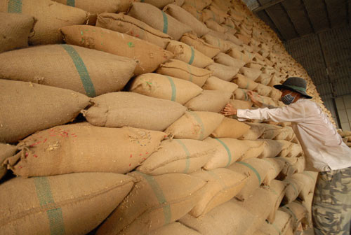 Kho trữ lúa, gạo của doanh nghiệp ở ĐBSCL