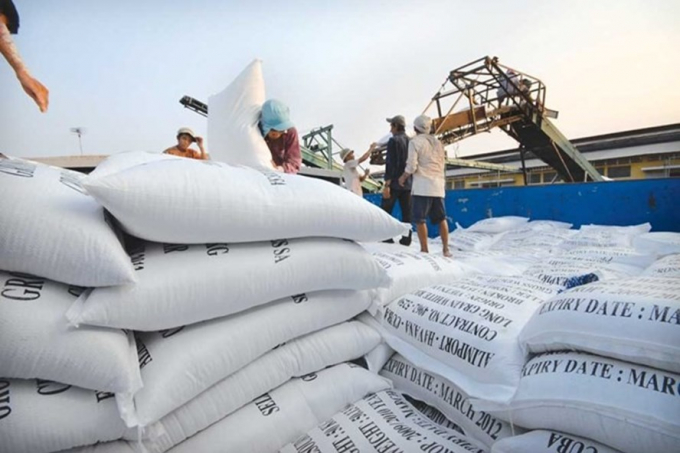 Tờ khai của 22 doanh nghiệp không có giá trị trong xuất khẩu gạo