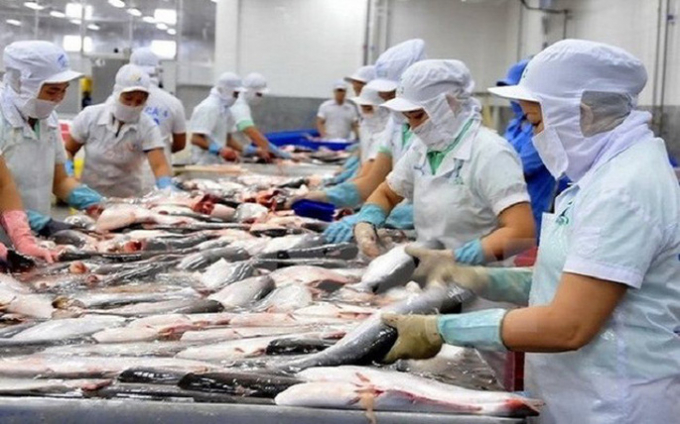 Xuất khẩu cá tra giảm mạnh gần 40%