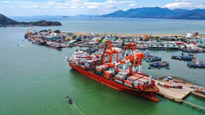 VAFI: 'Cảng Quy Nhơn 'thổi phồng' thành tích kinh doanh 2019'