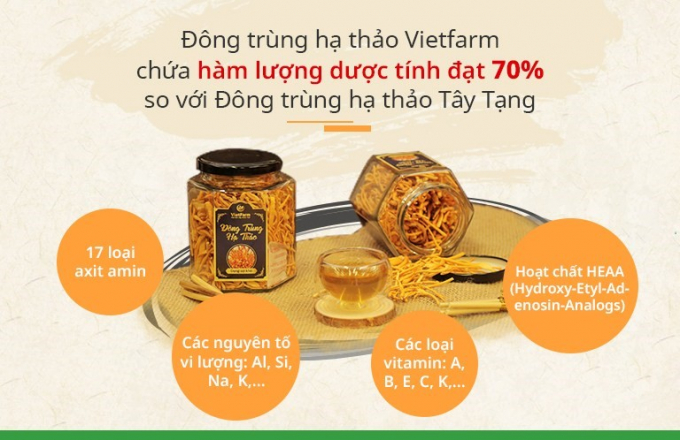 Các hoạt chất có trong đông trùng hạ thảo Vietfarm có công dụng tốt cho sức khỏe