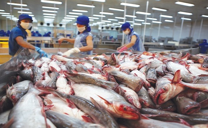 Xuất khẩu cá tra giảm gần 30%