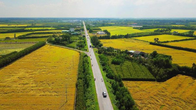 Chuyển mục đích sử dụng 50,7 ha đất trồng lúa tại tỉnh Long An