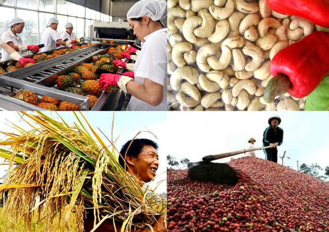 Xuất khẩu nông sản Việt Nam đạt hơn 17 tỷ USD trong 4 tháng