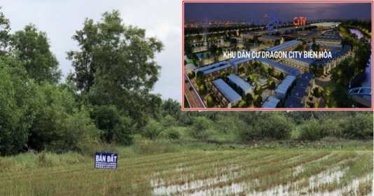 Dự án Dragon City Biên Hòa trên đất nông nghiệp bị 'sờ gáy'