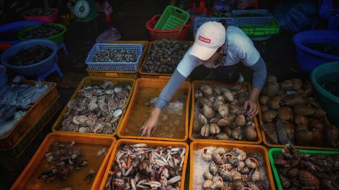 Chợ Lưới ở Hồ Tràm là địa chỉ bạn có thể tìm mua nhiều loại hải sản tươi sống với giá cả phải chăng.
