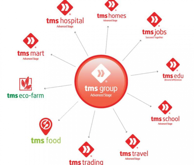 Minh họa hệ thống các công ty thuộc Tập đoàn TMS