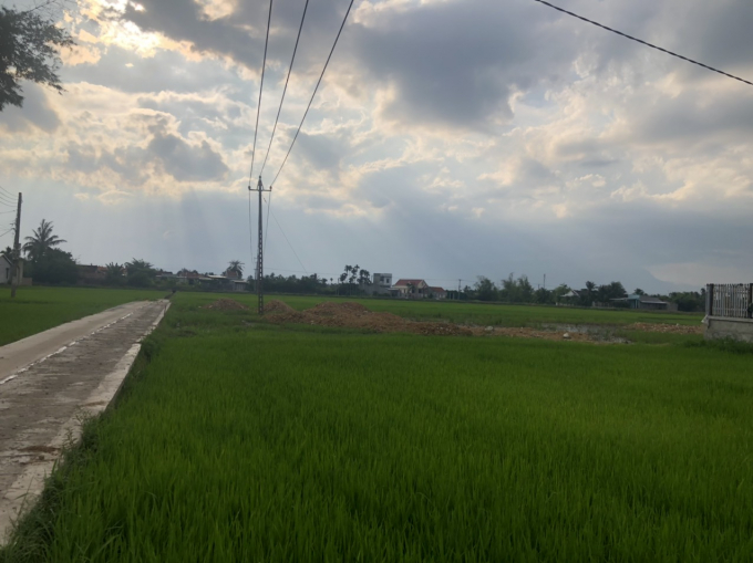 Bà Võ Thị Hương thâu tóm hàng nghìn mét vuông đất trồng lúa nước sau khi được chuyển sang đất ở với giá siêu rẻ.