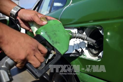 Liên minh châu Âu đã áp thuế đối với dầu diesel sinh học nhập khẩu từ Indonesia . Ảnh minh họa: TTXVN