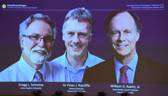 Các nhà khoa học đoạt giải Nobel y sinh 2019 - Ảnh: AFP