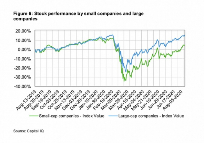 Giá cổ phiếu của các công ty lớn tăng bất chấp đại dịch. Ảnh: Capital IQ.