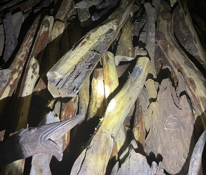 Tang vật phát hiện được cho là gỗ Trắc thuộc nhóm quý hiếm.