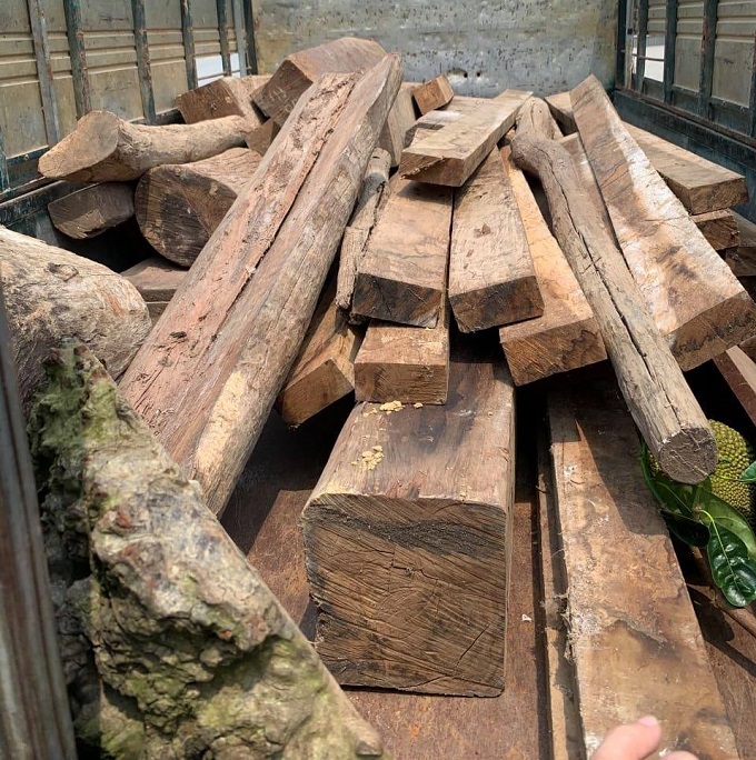 Số gỗ vẫn chuyển không rõ nguồn gốc xuất xứ.