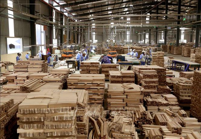Bất chấp diễn biến phức tạp của dịch bệnh từ các quốc gia nói chung, trong nước nói riêng, ngành chế biến, xuất khẩu gỗ và đồ gỗ Việt Nam vẫn vượt ngoài mong đợi. Ảnh: TTXVN
