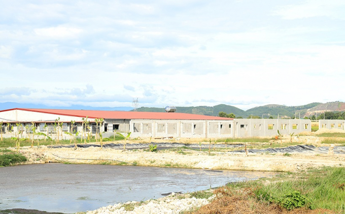 Dự án trang trại chăn nuôi bò sữa cao sản Bắc Hà ở xã An Dũng, huyện Đức Thọ của Công ty TNHH Khánh Giang.