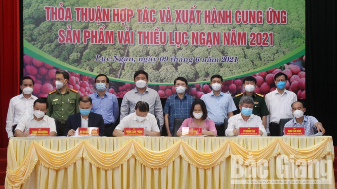 TKV và UBND huyện Lục Ngạn ký thỏa thuận hợp tác cung ứng vải thiều Lục Ngạn. (Ảnh: báo Bắc Giang)