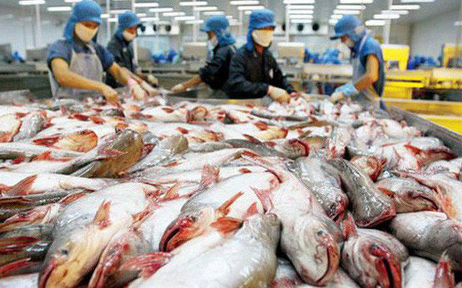 Hoa Kỳ có kết luận về áp thuế chống bán phá giá đối với cá tra, cá basa Việt Nam.
