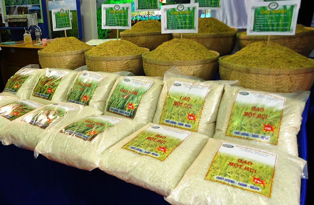 Gạo thơm xuất khẩu sang Liên minh châu Âu được miễn thuế nhập khẩu.