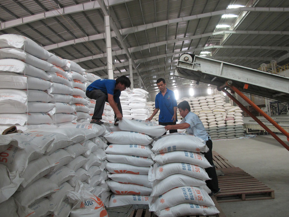 Tạm ứng hạn ngạch 100.000 tấn cho doanh nghiệp có gạo đưa vào cảng trước 24/3/2020 nhưng chưa đăng ký tờ khai. (Ảnh minh họa)
