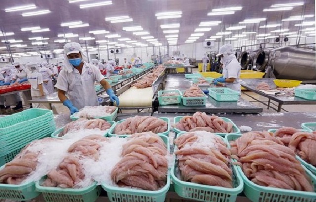 Thuế chống bán phá giá cá tra Việt Nam vào Mỹ giảm mạnh. (Ảnh minh họa)