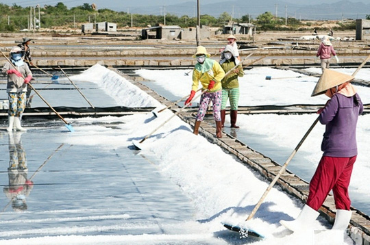 Hợp tác xã diêm nghiệp Kim Liên (Nghệ An) đã tự ý rút hơn nửa tỷ tiền hỗ trợ diêm dân để chi tiêu vào những mục đích khác. (Ảnh minh họa)