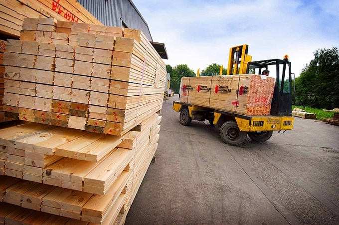 Mỹ gia hạn ban hành kết luận điều tra chống lẩn tránh thuế gỗ dán cứng từ Việt Nam. (Ảnh minh hoạ)
