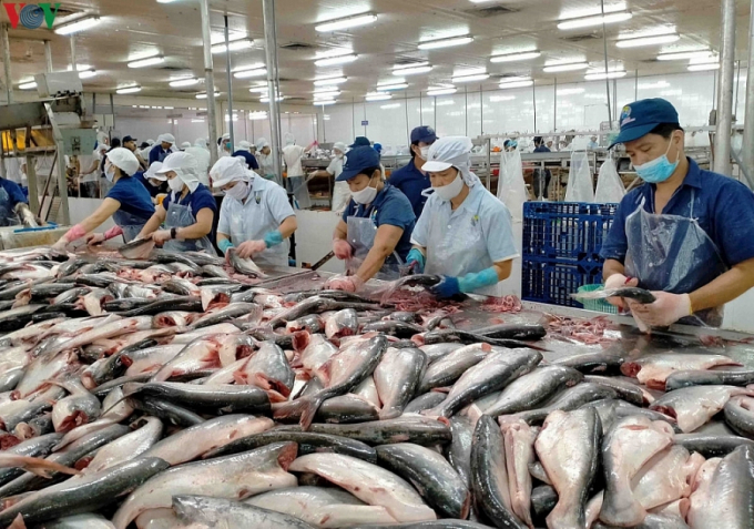 DOC đã hủy bỏ rà soát hành chính thuế chống bán phá giá với 28 công ty cá tra, basa của Việt Nam vì nhiều lí do khác nhau. (Ảnh minh hoạ)