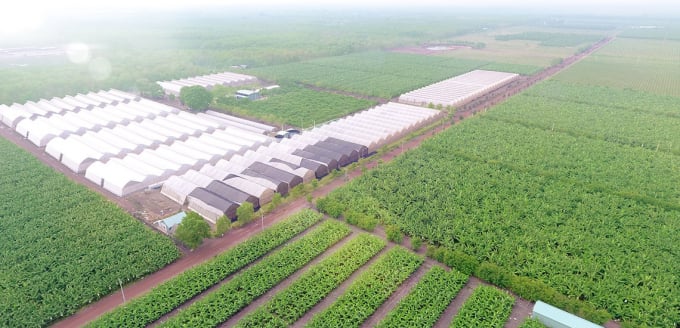 Thành lập Khu nông nghiệp ứng dụng công nghệ cao tại Quảng Ninh. (Ảnh minh họa)