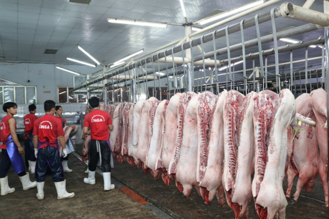 Những tháng sát Tết Nguyên đán, mỗi tháng Việt Nam thiếu 70.000 tấn thịt lợn.