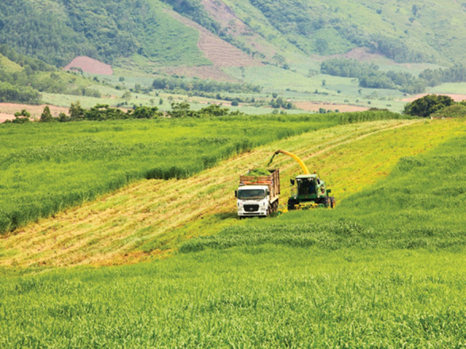 HĐND tỉnh Nghệ An chấp thuận chuyển mục đích sử dụng 11,76 ha đất trồng lúa để làm dự án - Ảnh minh họa.