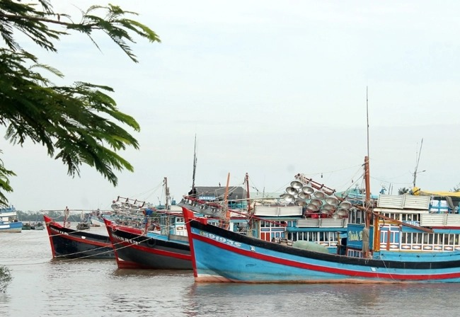 A corner of Tran De port in Tran De district, Soc Trang province, southern Vietnam. Photo courtesy of the port.