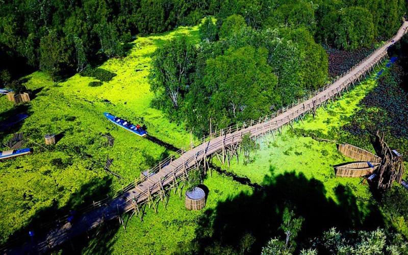 Tra Su melaleuca forest with Vietnam's longest bamboo bridge. Photo courtesy of Nhan Dan Online.