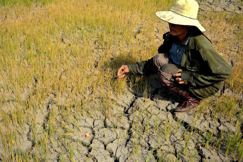 Vietnam is said to be one of the countries most vulnerable to climate change. Photo courtesy of Vietnam News Agency.