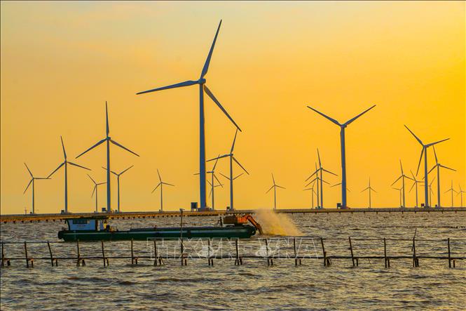 A 100 MW wind farm with 62 turbines in Bac Lieu province, southern Vietnam. Photo courtesy of Vietnam News Agency.