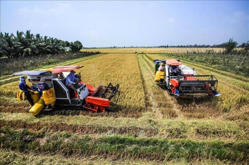 Farmers harvest rice in An Giang province. Photo courtesy of Vietnam News Agency. 