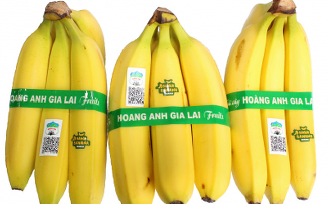 Bananas of Hoang Anh Gia Lai. Photo courtesy of the company.