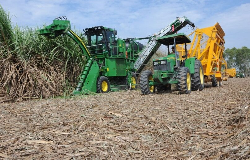 TTC Sugar's Nuoc Trong sugarcane farm in Tay Ninh province, southern Vietnam. Photo courtesy of the company.