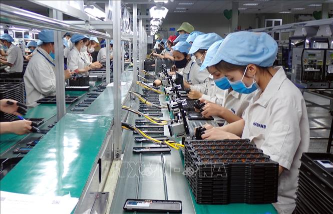 Workers assemble mobile phones at Handanbi Vina Company in Thai Nguyen province, northern Vietnam. Photo courtesy of Vietnam News Agency.